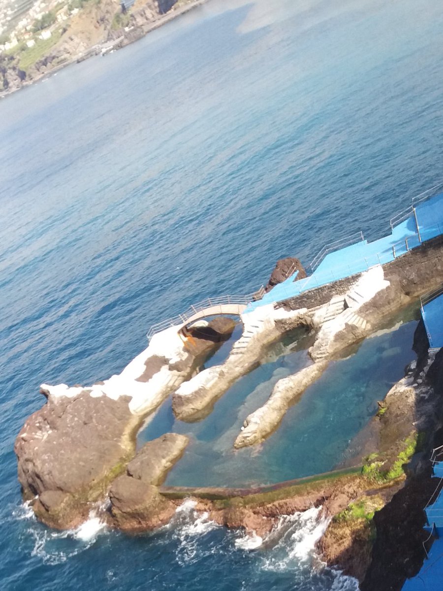PaulaFr38173328's tweet photo. #madeira #LavaPools📸
#DocaDoCavacasPools🌞😎
🏊♂️🏊♂️🏊♂️🏊♂️🏊♂️🏊♂️ 💖💖💖 https://t.co/pKOgPunFTd