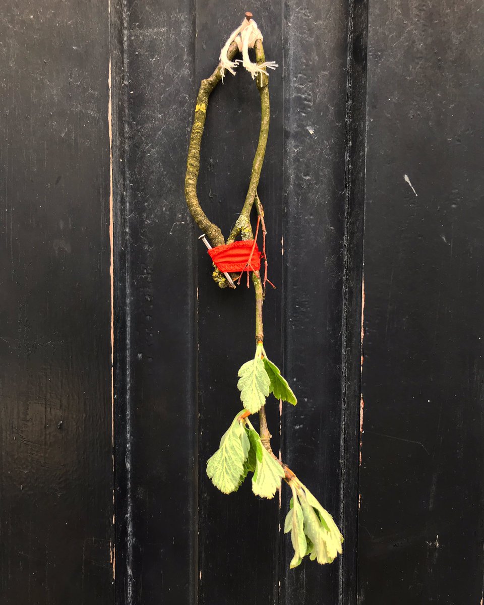 poetsoup's tweet photo. A talisman of a rowan branch circle, red fabric &amp; a (horseshoe) nail. Protection against illness, the evil eye &amp; malevolent fairies. I was stopped by undercover Gardaí last night in W Cork when walking back from taking a cutting. Apparently, rowan doesn’t ward off suspicion 😅 https://t.co/CrEsx98swi