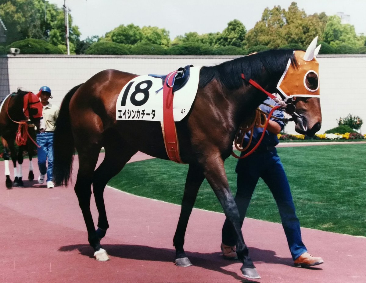 bubblegumrobroy's tweet photo. プレイバック　平成競馬
エイシンカチータ
父 バンブーアトラス
97年シーズンは１勝馬ながら
オークス ６着
秋華賞 ３着
エリザベス女王杯 ５着
に善戦した🐎💨
翌年２勝を上げ通算３勝で引退繁殖入りしてます。
写真は初勝利時📷
＃京都競馬 https://t.co/AxRqLnAbSo