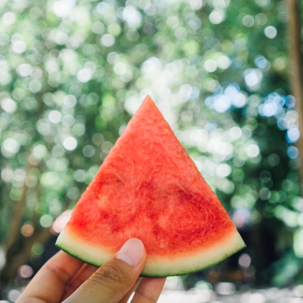 getsecondnature's tweet photo. Deeply alkalizing, antioxidant rich and ultra hydrating, Watermelons are no less than summer super stars! 🍉 ⠀⠀⠀⠀⠀⠀⠀⠀⠀
Try and have them as much as possible while the season lasts.

#stayhealthy #eathealthy #fresh #summer #coldextractedjuice #natural #getsecondnature https://t.co/5YDawETcV3