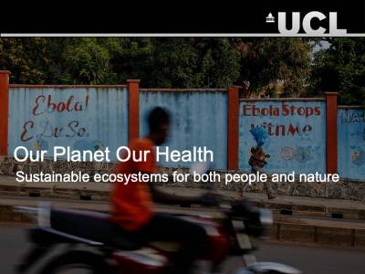 UCLLunchHourLectures tweet media