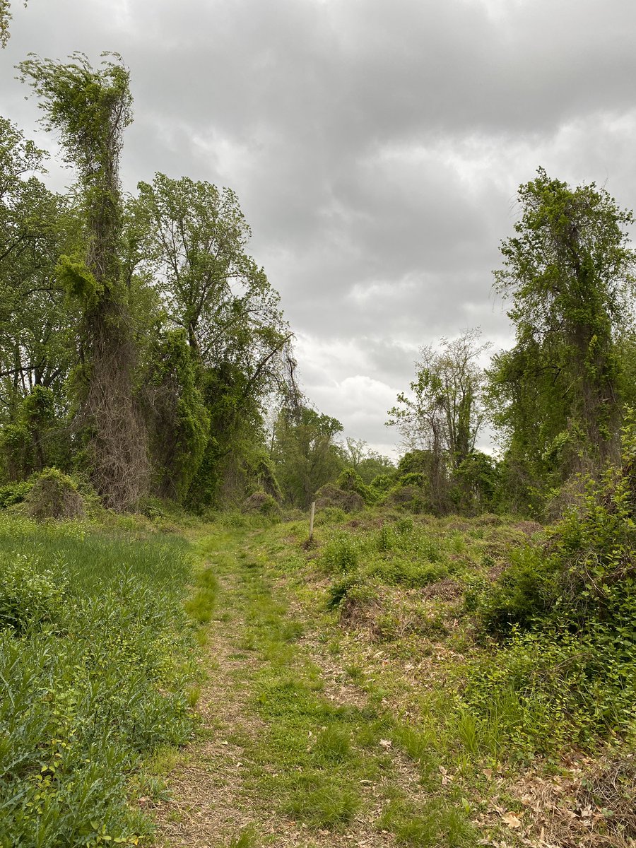 NPRinskeep's tweet image. For all the weariness and sorrow, you have made it to May, a little farther down the path and a little nearer whatever lies ahead.