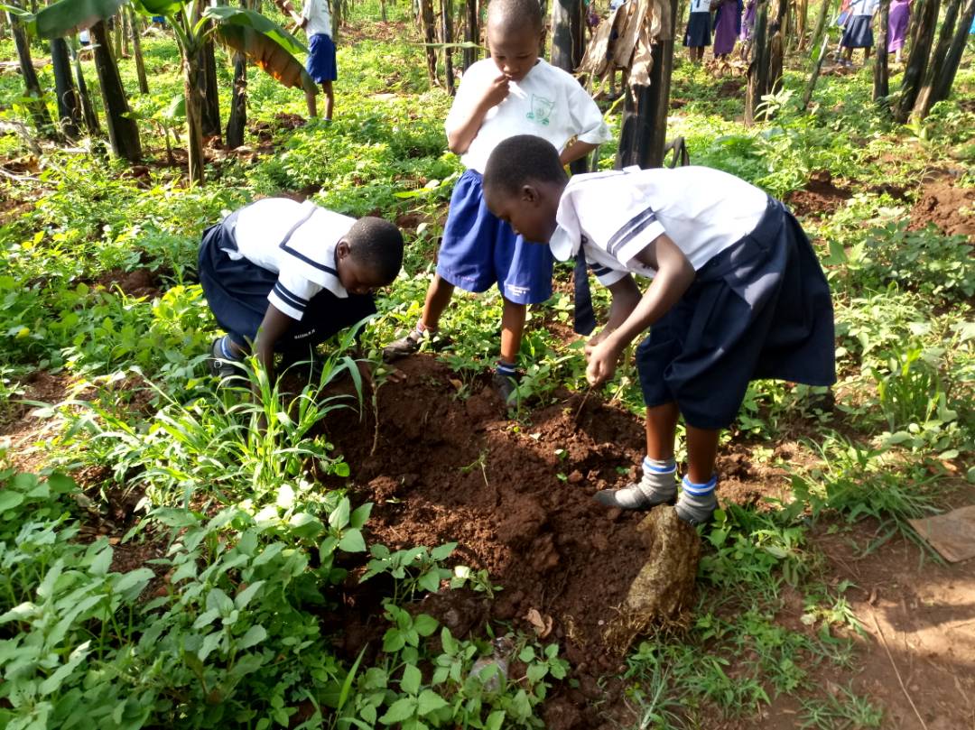 NWSC_SWASclubs's tweet photo. Happy  Labour Day.  To all our SWAS members,thank you for taking care of the environment.@NWSC_YWP @nwscug @NWSCKampalaGM #LabourDay2020 https://t.co/kQH7SCDPt0