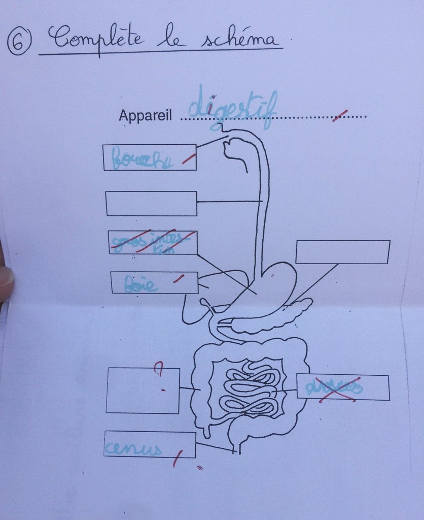 calcarine_'s tweet photo. Je viens de retomber là dessus. On n'aurait pas parié que ça finirait chir dig à cette époque 😂.
#perlesdeprimaire #chirurgiedigestive #internat https://t.co/unlVjmQjI7