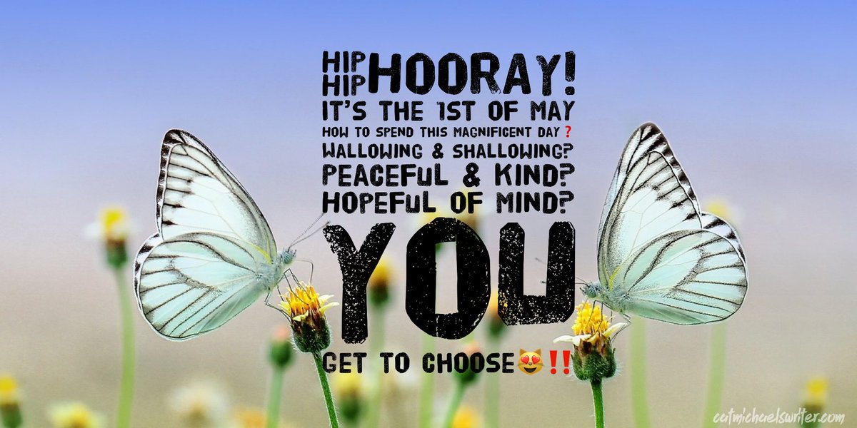 CatMichaelsBook's tweet photo. #May #FridayFeeling #FeelGoodFriday 
A Quarantine RAP- Really Awful Poem - for Your Friday🌹.  Proves I’ve been in Coronaville too long🙀🤪🙀
Still...make it a glorious day, y’all 🥰 https://t.co/FOM6NN1FGz