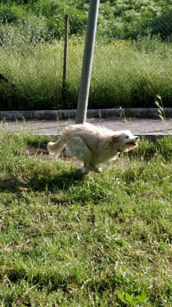 amy_garlo's tweet photo. Pete's in a hurry gotta go fast https://t.co/jfXmAMMYBs