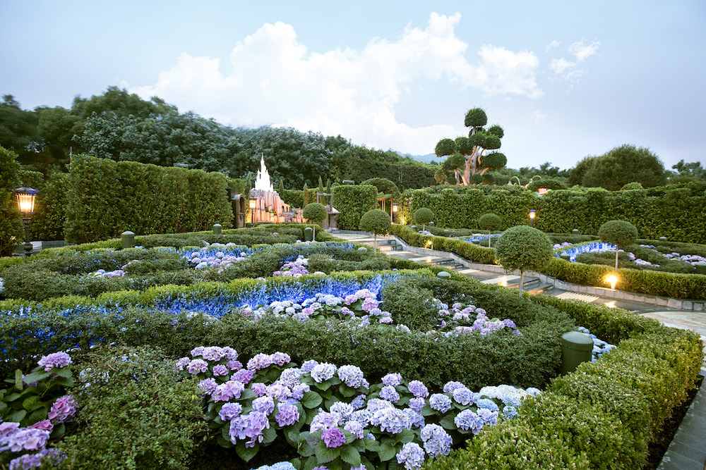 florida_escapes's tweet photo. Check Out the Spectacular Colors of Spring at Disney Parks Around the World: https://t.co/RMOnmgYvbL https://t.co/1ydPjCEeMO