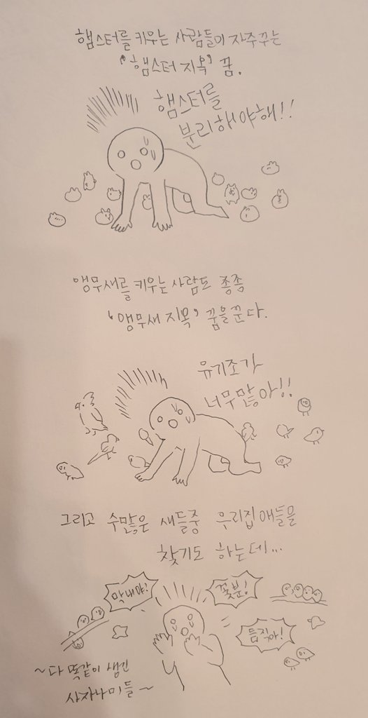 앵무새 지옥 악몽. 발목인식링이 있다면 더 찾기쉽겠지만 우리집 새만의 특징을 평소에 잘관찰해두면좋을것같아요! 물론 잃어버리지않는게 최선이죠~ 