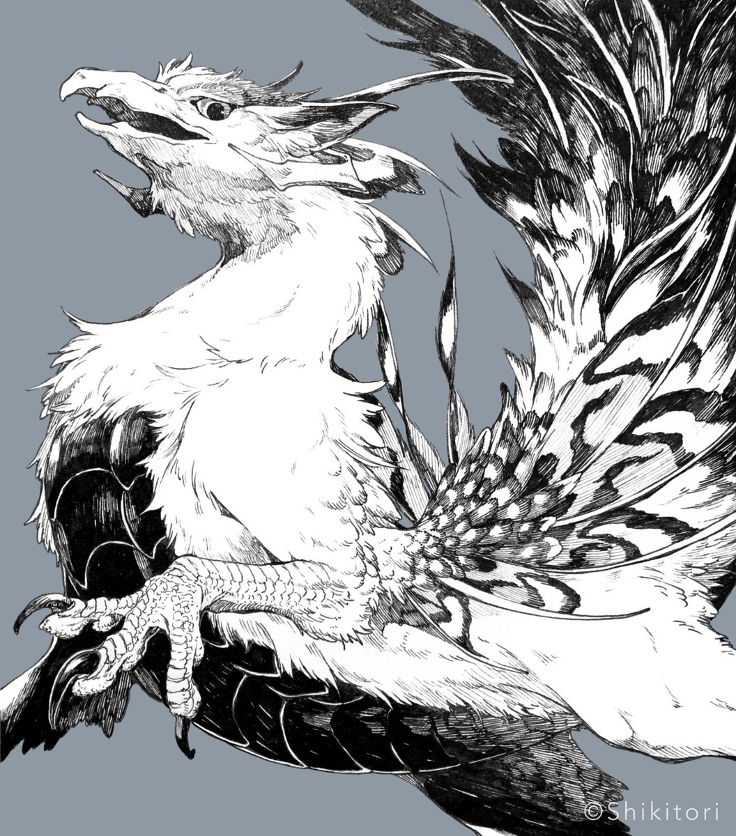 鳥龍 Post by シキトリ on X: 鳥の龍的な