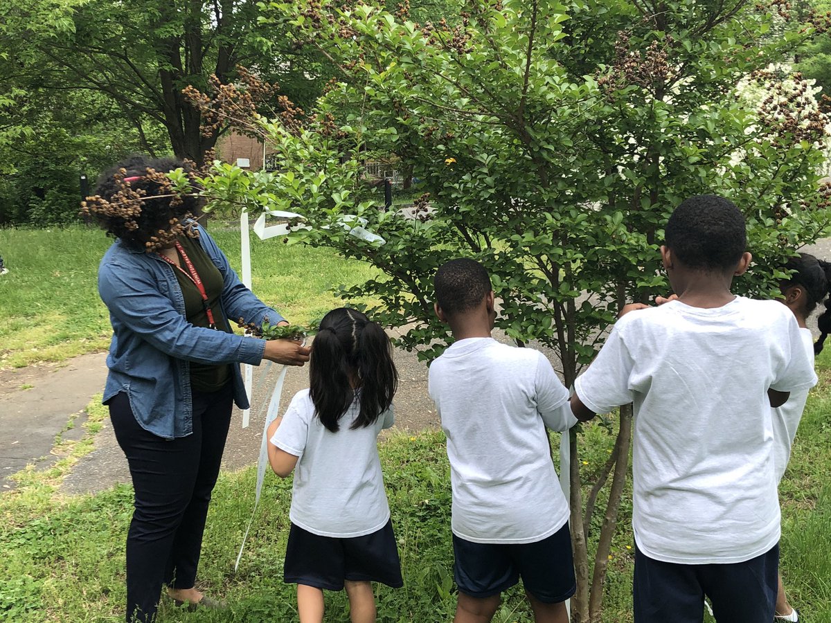 StAmbroseBees's tweet photo. Remembering our beautiful devotion to Our Lady, Undoer of Knots last May.  Students reflected on the “knots” in their lives and wrote them on ribbons.  Our “garden of knots” became a sacred place.  Mary, Undoer of Knots, Pray for Us! #SASFamily #ADWFamily https://t.co/vDxacOHFEU