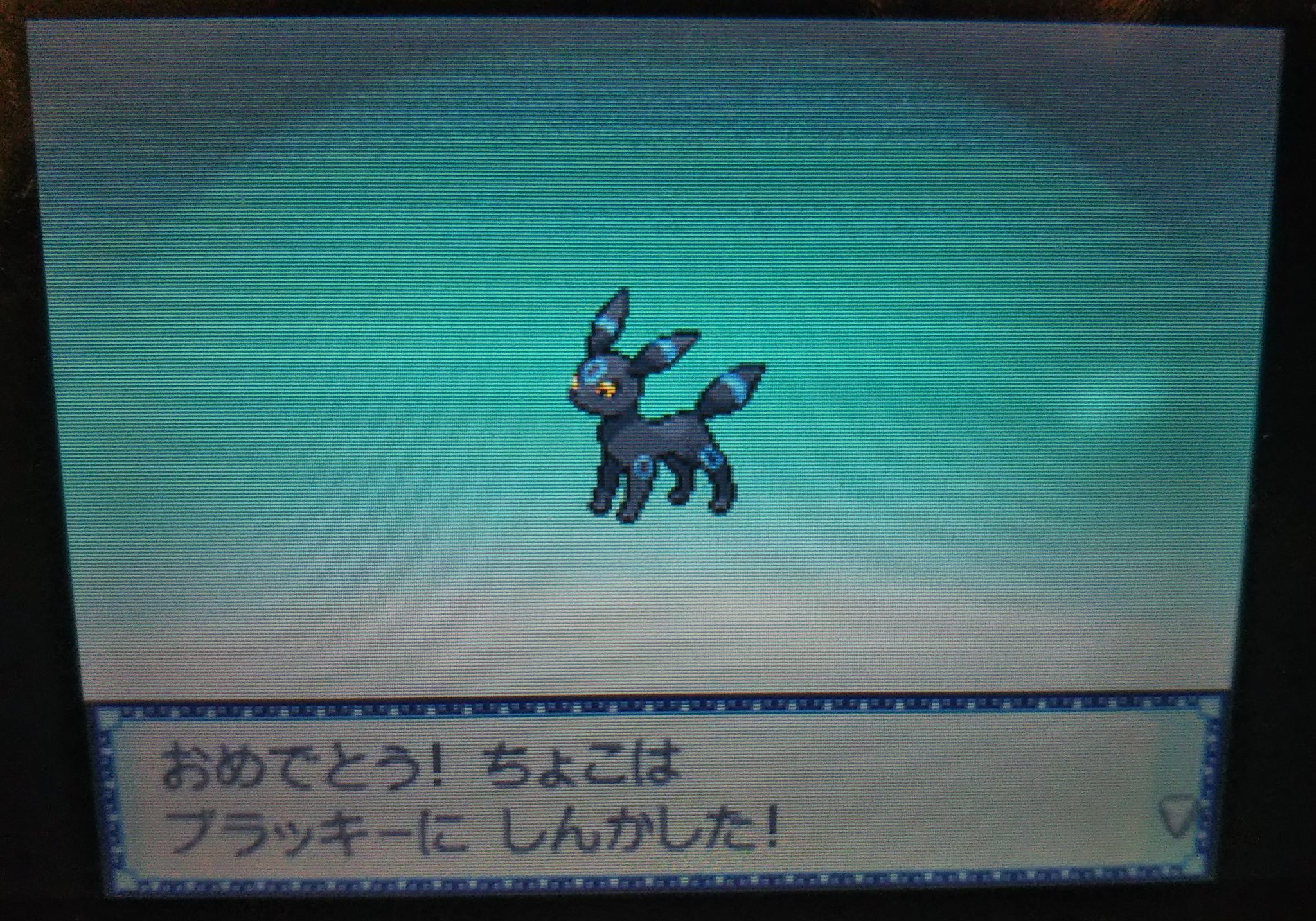 むじゃごん ポケモンhgss色違い縛り 投票数が一番多かったブラッキーに進化 T Co I7vbyaszhc Twitter