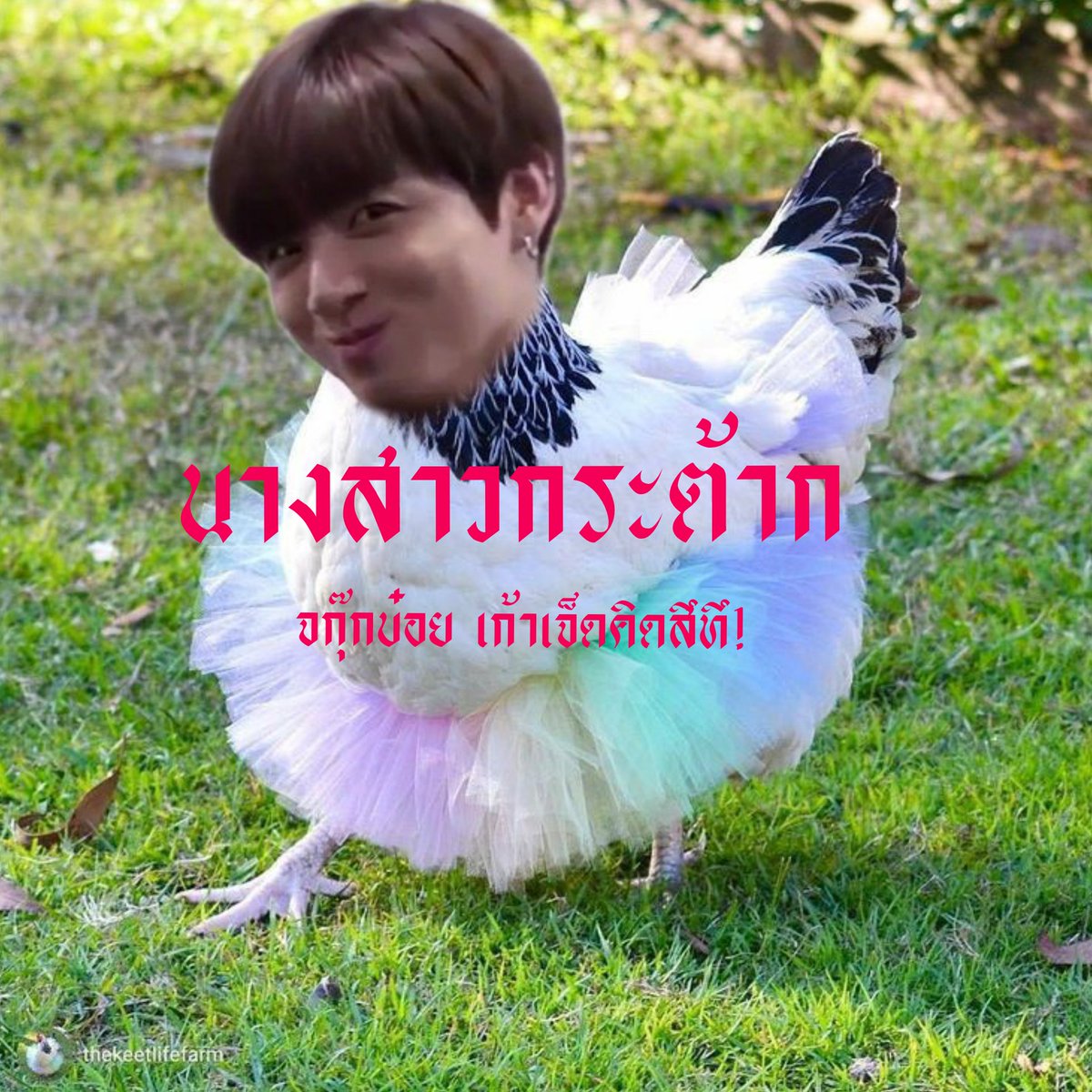 กระต้าก tweet media