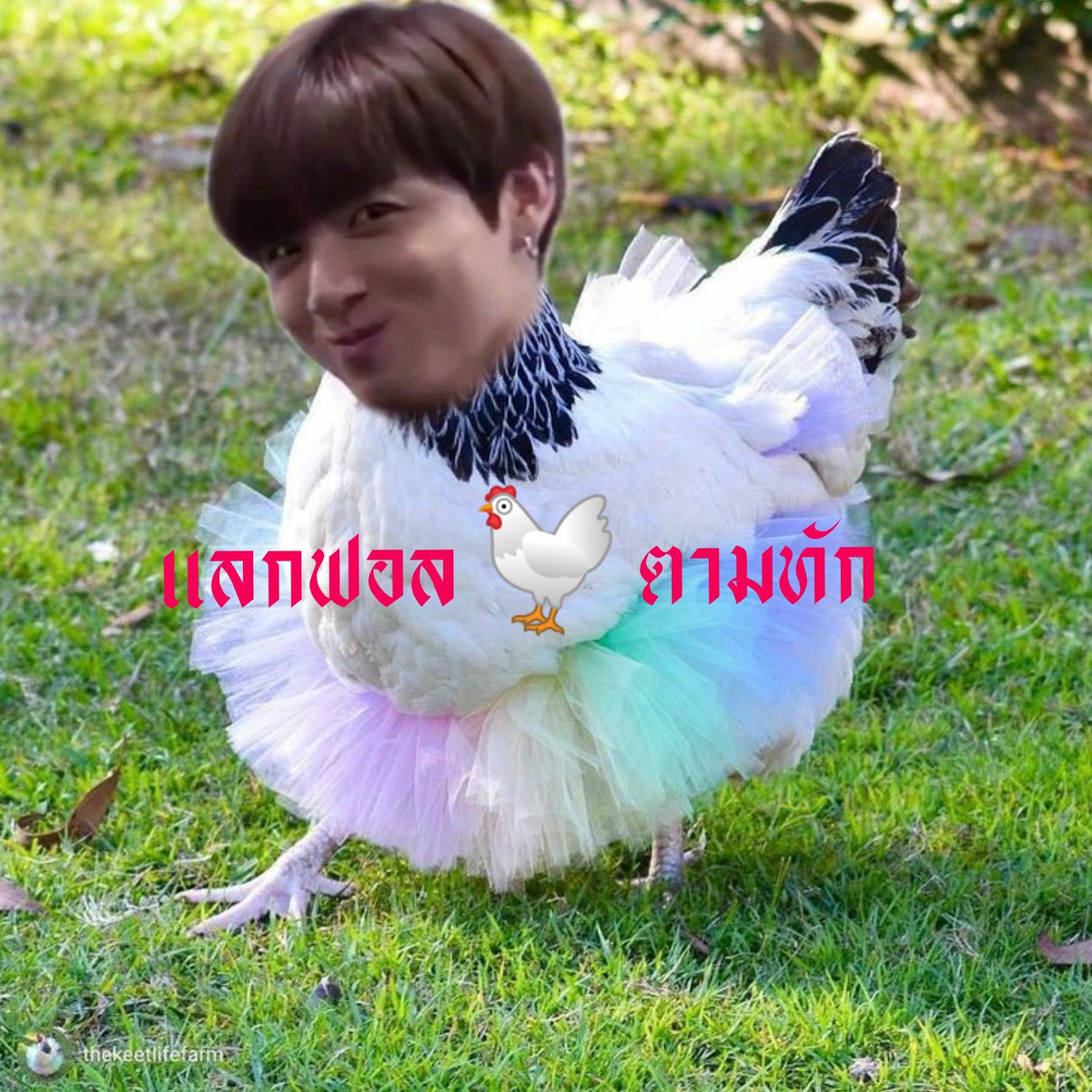 กระต้าก tweet media