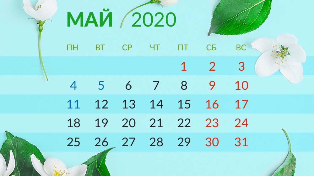 Выходные в мае 2025