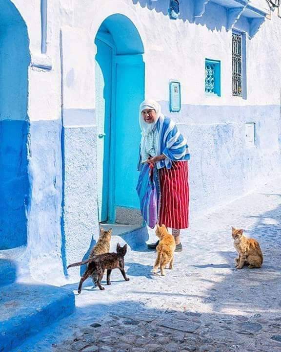No beauty shines brighter than 
that of a good heart ..
No matter what happens....
Be kind whenever possible.
It is always possible...
Always give love ..respect
and kindness .....🍁