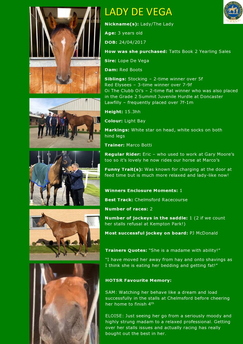 RacingHOTSR's tweet photo. L is for LADY DE VEGA &amp; LATIN KNIGHT
This @MarcoBotti trained duo have both been placed already in 2020 &amp; look more than capable of winning races. We cannot wait to see them back racing! Read more about them here... #hotsr #ladydevega #latinknight #marcobottiracing https://t.co/kaJPuuQMlr