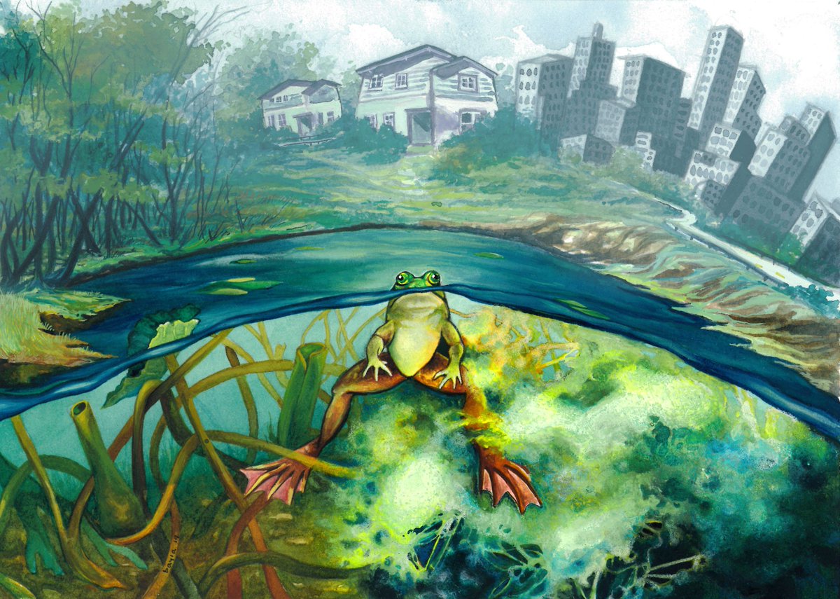 A. Z. Andis Arietta, PhD tweet media