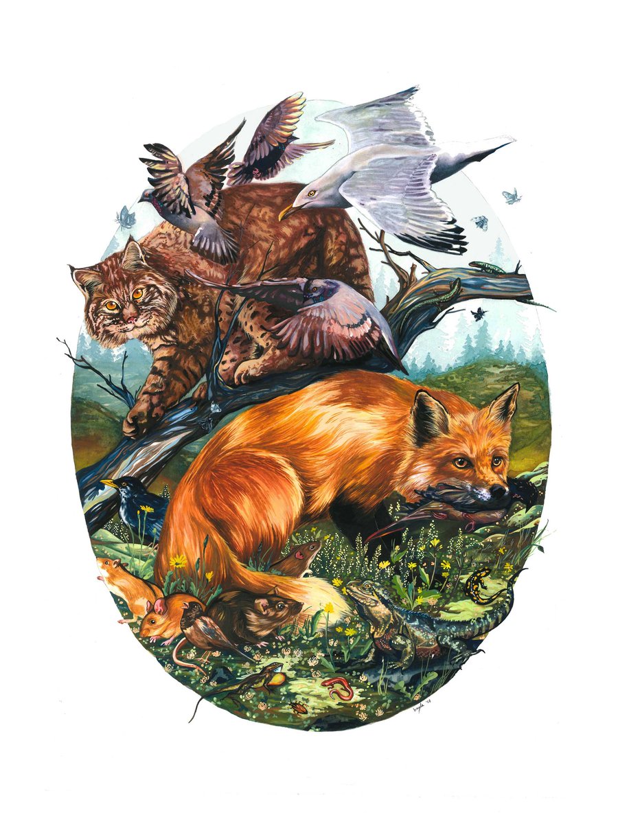 A. Z. Andis Arietta, PhD tweet media