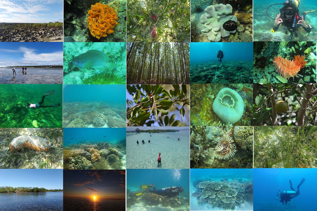 crisannfv's tweet photo. HAPPY MONTH OF THE OCEAN💙🌊🏖️🌅
PAra Sa Tao:Protected Areas for a Protected Future
#MOO2020
#BiodiversityPH
#ProtectOurPlanet https://t.co/fA5VCqPnhI