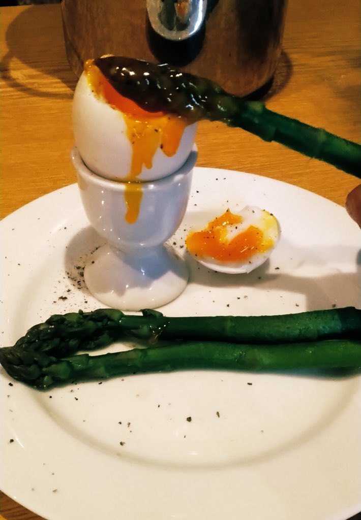 Terras Farm Cornwall tweet media