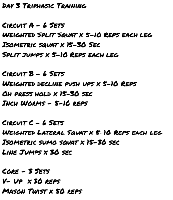 Coach_Rad_EGHS's tweet photo. Get Up, Get Out, Get Moving!! Happy Flex It Friday!!! Day 3 of our Triphasic Program. Finish the week strong💪. Lift is below, check out the link for a demo. https://t.co/XoG9YorK5G #athomewithcoachrad #inthistogether https://t.co/YlOJ2qnFwg