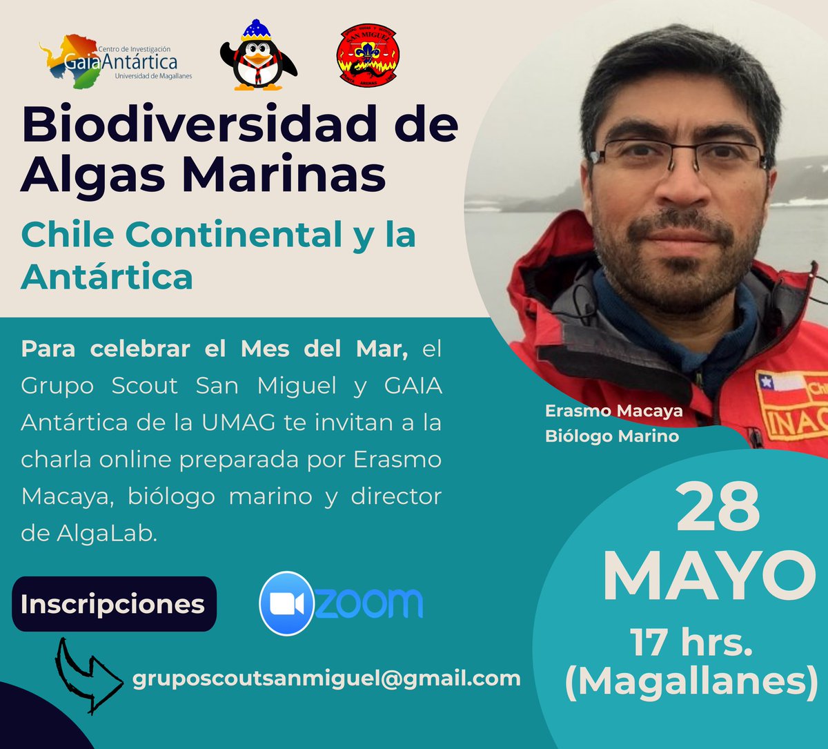 katiapuq's tweet photo. Mes del Mar 🌊🐧
Y vamos a celebrarlo junto a @erasmomac Biólogo Marino y Director de @AlgaLab. Charla sobre Biodiversidad de Algas Marinas en #chile y #Antartica Este 28 de mayo, a las 17 hrs. (Hora Magallanes). @agschile @umagallanes @Antarcticdentty @AntarcticCities https://t.co/M66jbHs5Ee