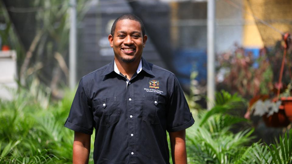 Forbes's tweet photo. Jamaica responds to COVID-19 by ramping up healthy food consumption https://t.co/eKGSvpx21d https://t.co/2bVftZuECL