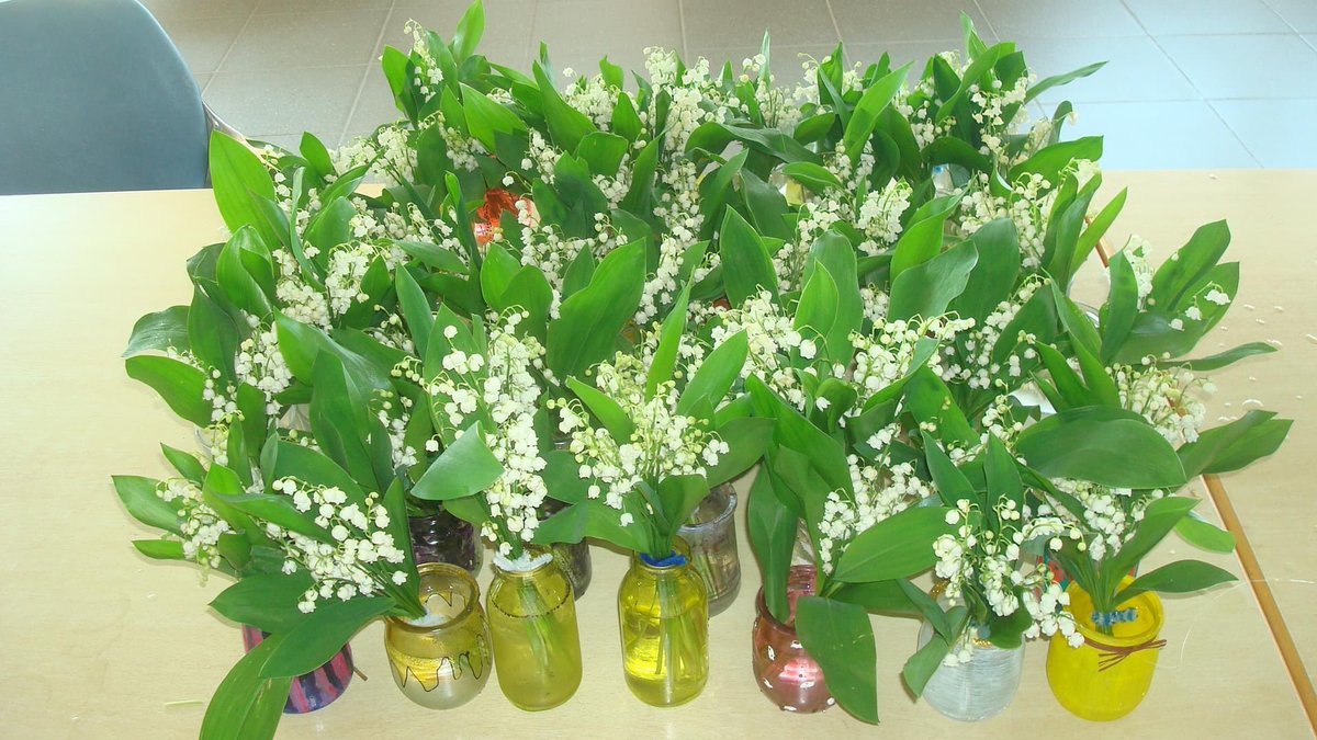 ghnd_38's tweet photo. Comme Sandrine, #AideSoignante qui a cueilli avec tendresse ces bouquets de #muguet pour ses collègues du #CHTP mobilisés en ce jour de #FêteDuTravail, nous vous souhaitons un bon 1er mai ! 💐
#teamGHND https://t.co/HuOe8QkQBB