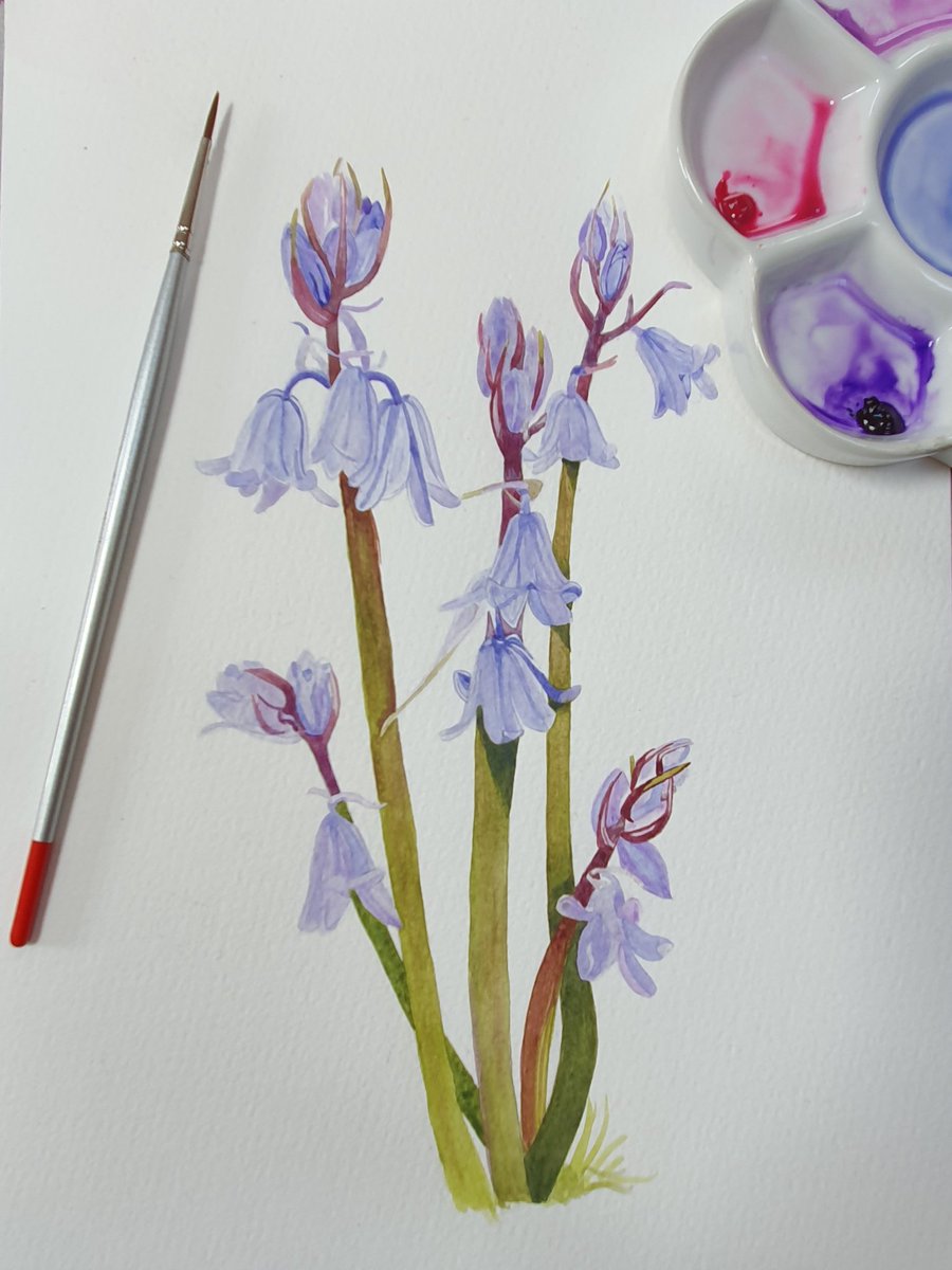 PatFlanneryArt's tweet photo. Hi Folks.
Lá Bealtaine Shona Daoibh 🥰🥰🥰 Happy May Day to all.
Here are a few examples of flowers I recently painted. The little Blue Bells are still a work in progress but coming all nicely. Enjoy the long weekend.😉 #summerstartstoday #MayDay2020 #Flowers #stayathome https://t.co/2EPD5SVYpd