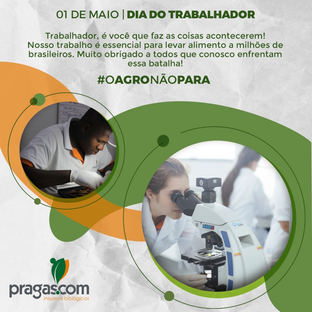 ❗01 de Maio - Dia do Trabalhador 😍
➡Nossa homenagem para todos aqueles que fazem o seu trabalho, com dignidade e amor. Vocês são necessários por atender as demandas de milhões de brasileiros. 
#oagronãopara