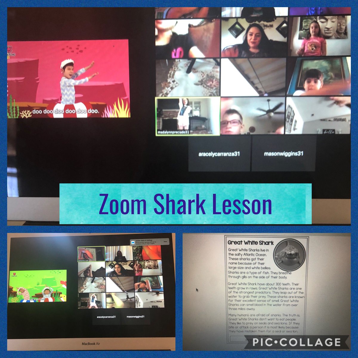 MrsBoudreauxWRB's tweet photo. Thank you Mrs. Cook for providing your students with learning on Zoom. They enjoyed learning about sharks. I appreciate you keeping them hooked on Zoom by dancing to the Baby Shark Dance at the end. #BSDProud #WRBKeepthefocus #WRBtogetherwhileapart https://t.co/3IjiK0e9tf