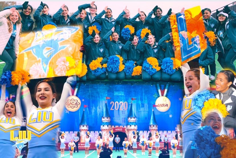 Please support our team in the LIU participation challenge. Every small donation counts! Together we RISE. Find out more and donate here: igfn.us/vf/SHARKNATION…

PLEASE RE-SHARE AND KEEP THE PARTICIPATION GOING!  #SHARKNATION / #FINSUP