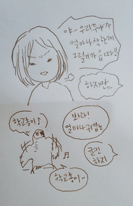 공포의 회색앵무2 