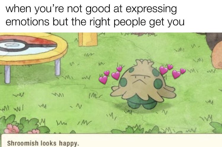 RespectfulMemes's tweet photo. https://t.co/kg8SDocr63