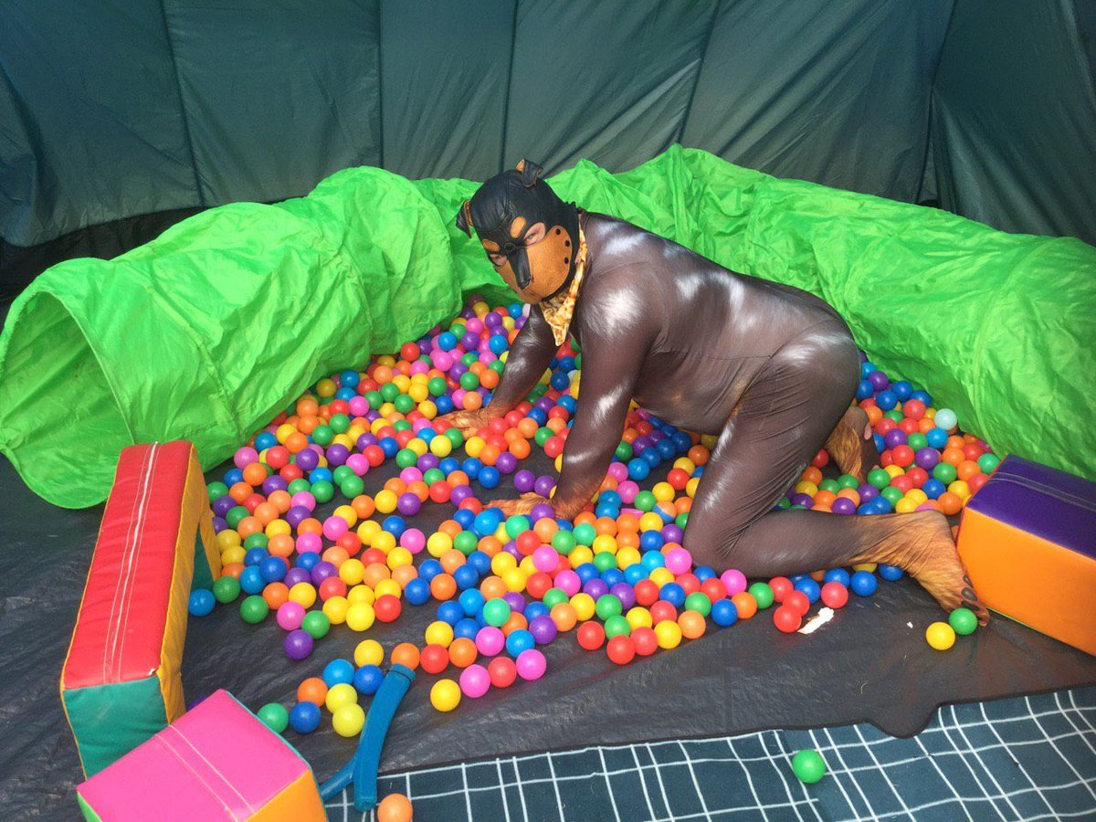 PupPastel's tweet photo. #IsolationAntics
@chip_pup
I've been keeping busy setting up online activities and when resting I set up my tent and made a pup area... https://t.co/k31xZpyZQb