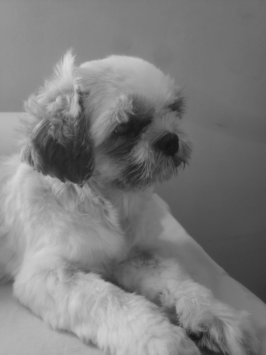 creatusdark's tweet image. meus pilares