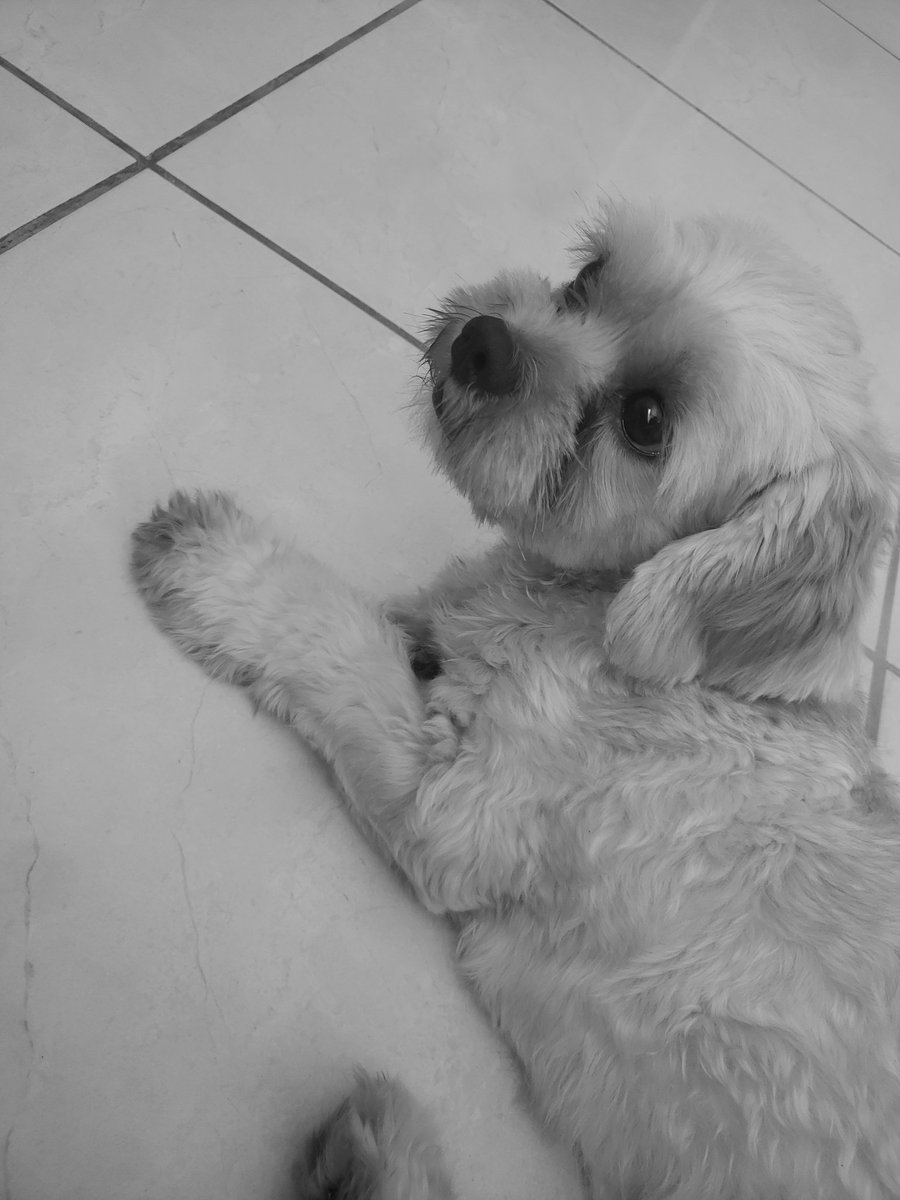 creatusdark's tweet image. meus pilares