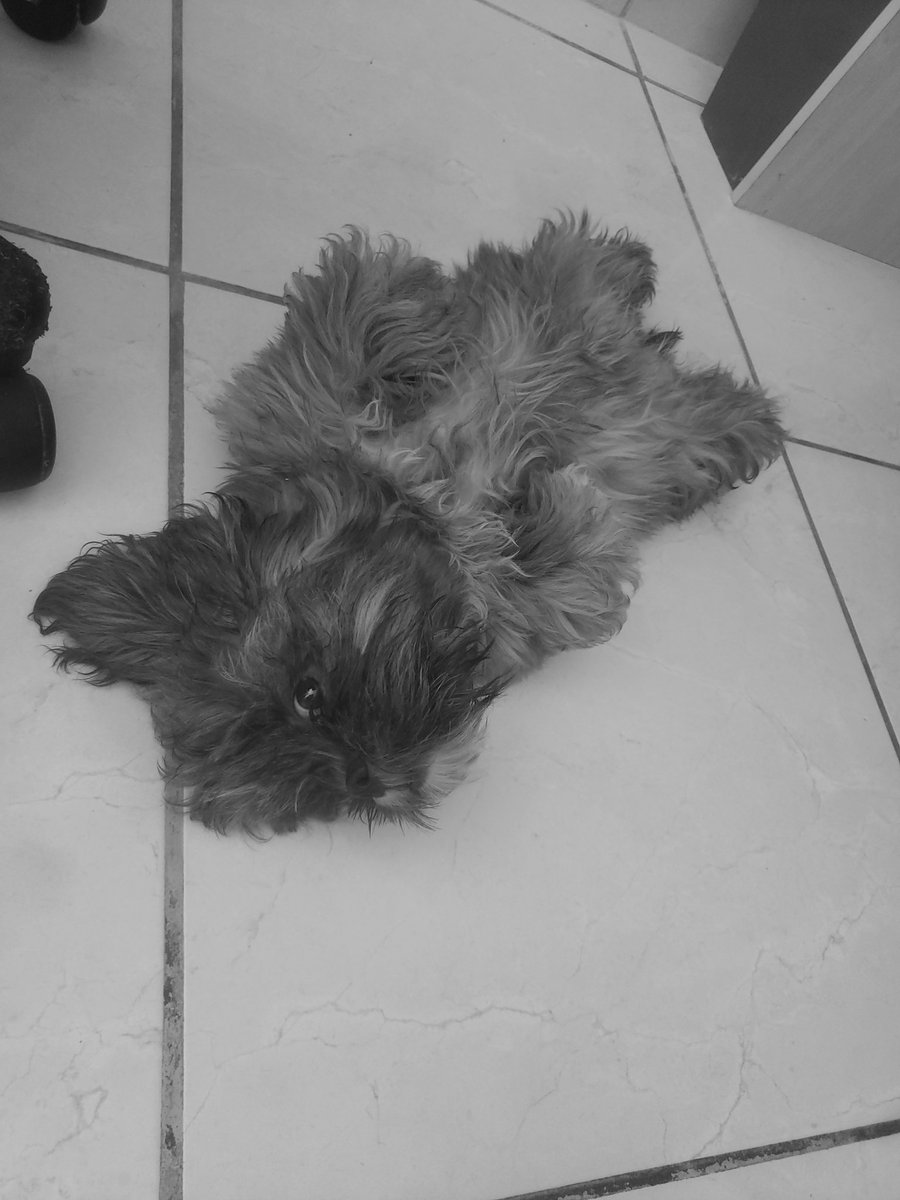 creatusdark's tweet image. meus pilares