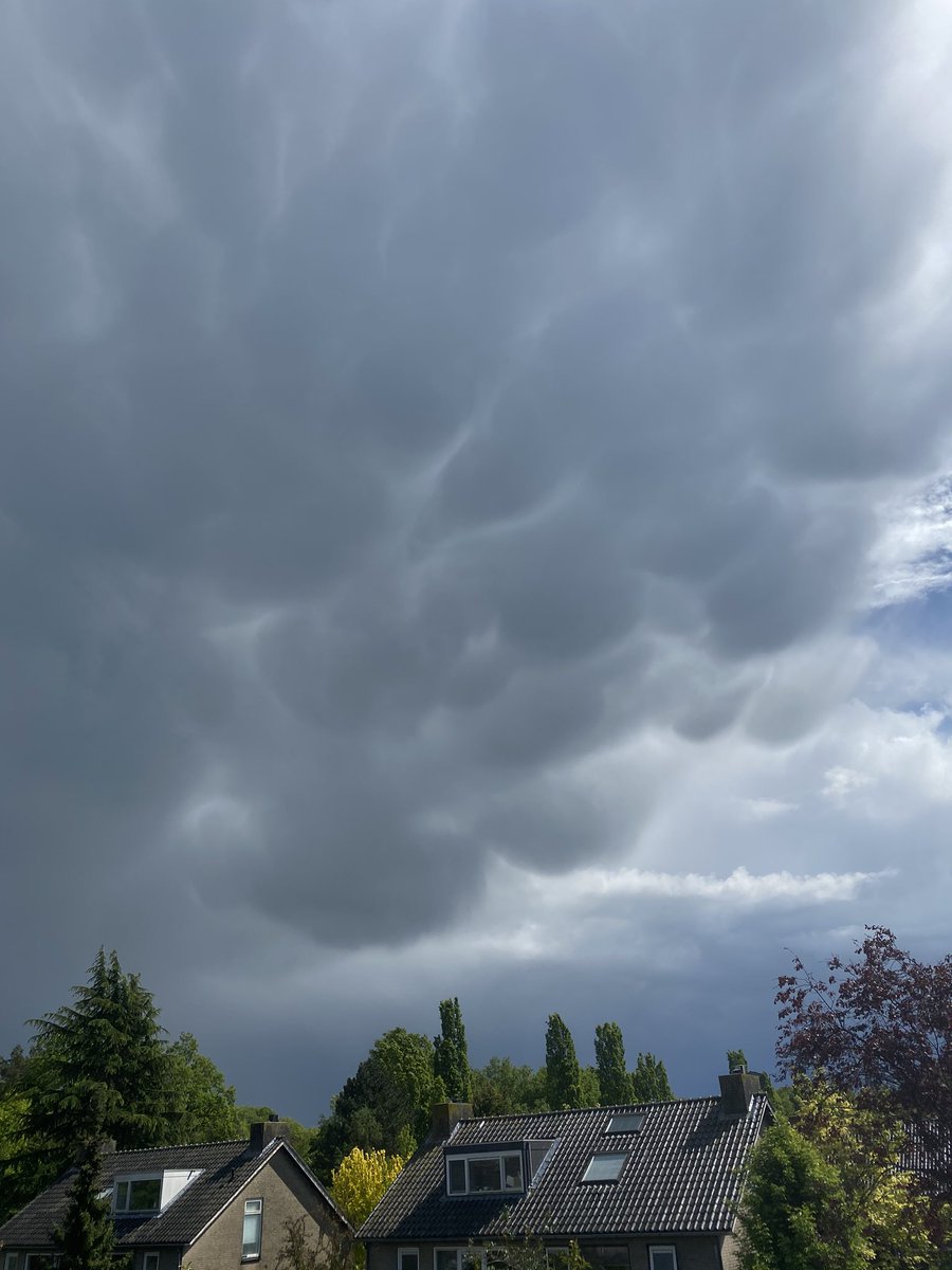 DeGoej's tweet photo. @weeronline @Weerplaza @Talpaweer @helgavanleur @janvissersweer @weermanreinier Zojuist na een forse regenbui in Son en Breugel https://t.co/vSanzNrzOU