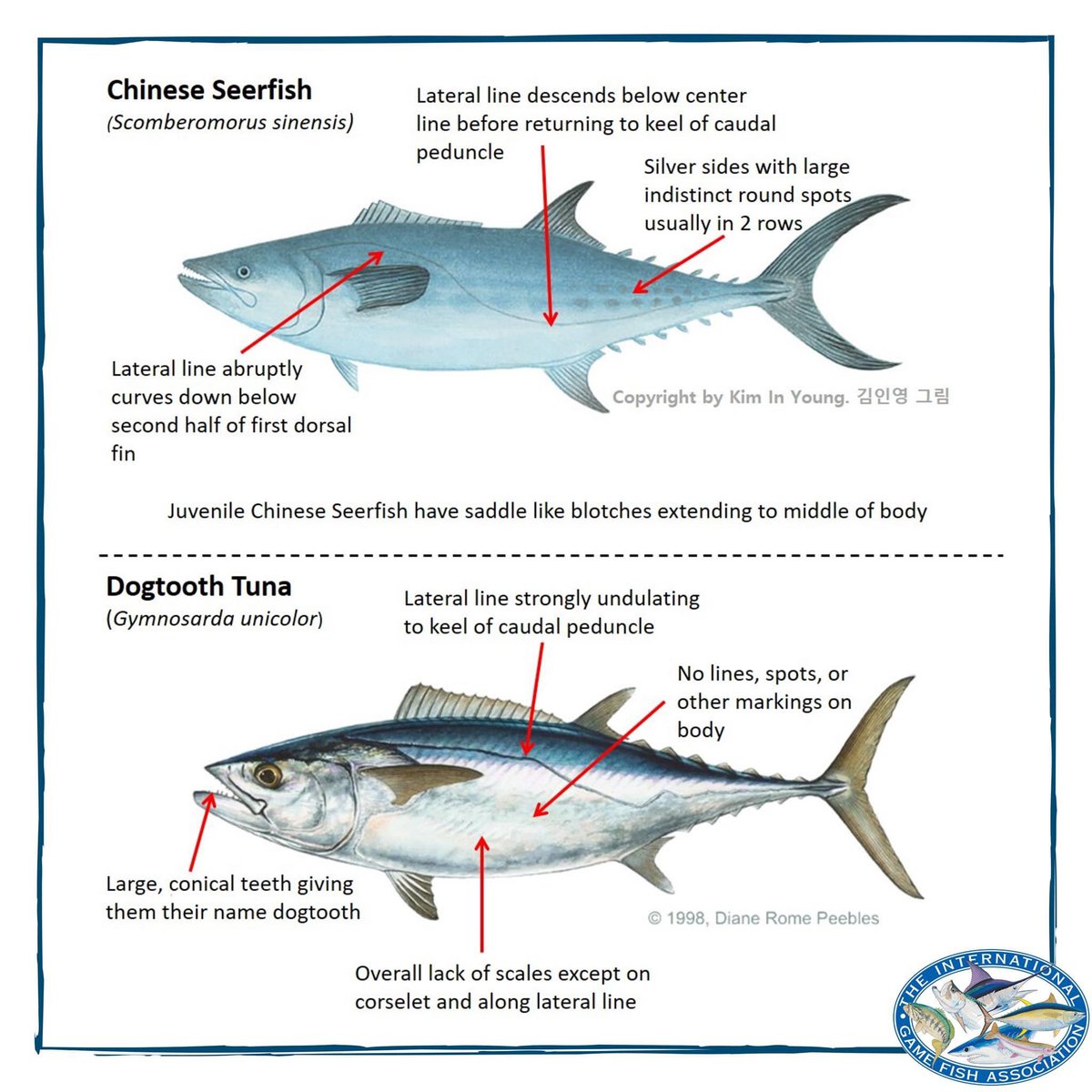 TheIGFA tweet picture