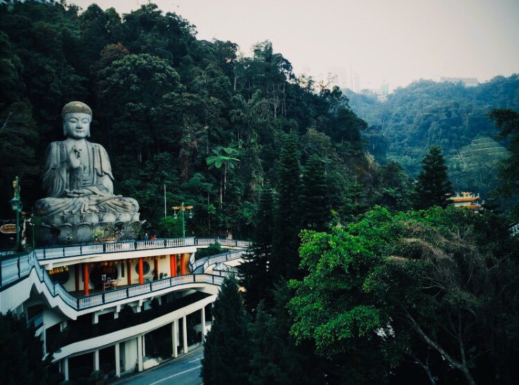vinodkannayan71's tweet photo. #Gentinghighlands #புகைப்படங்கள் #throwbackclicks #randomclicks📷 https://t.co/b8K1SJiRbR