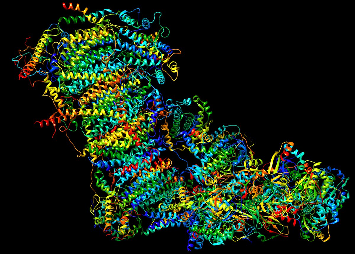 @ FAES@NIH Bioinformatics (online) Workshops. Great introduction to bioinformatics concepts and tools with Drs. Vijay Nagarajan and Mike Dolan. Representation of Ovine mitochondrial respiratory complex I done using Chimera #bioinfoacademy