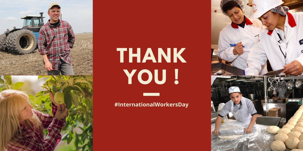 mclaudebibeau's tweet photo. Today is #InternationalWorkersDay and for this occasion, I would like to highlight all the hard work that our essential workers in the ag and food sector are doing to feed our families despite the challenges of this pandemic. Thank you! #CdnAg 👏 https://t.co/Hs040NBA2E