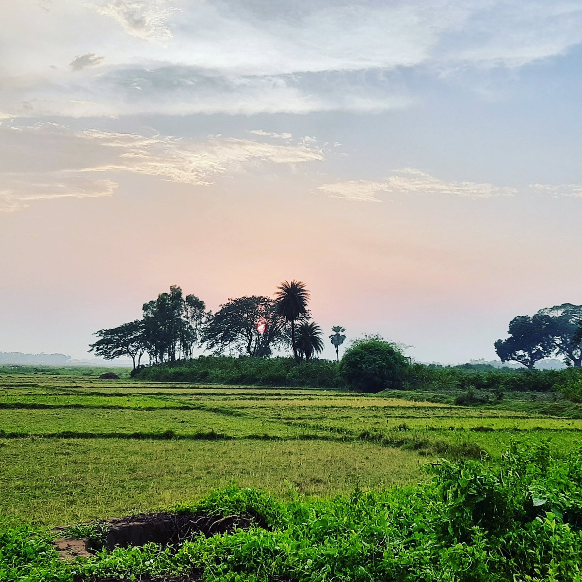 sujitkumar609's tweet image. My Village View🏞🏝