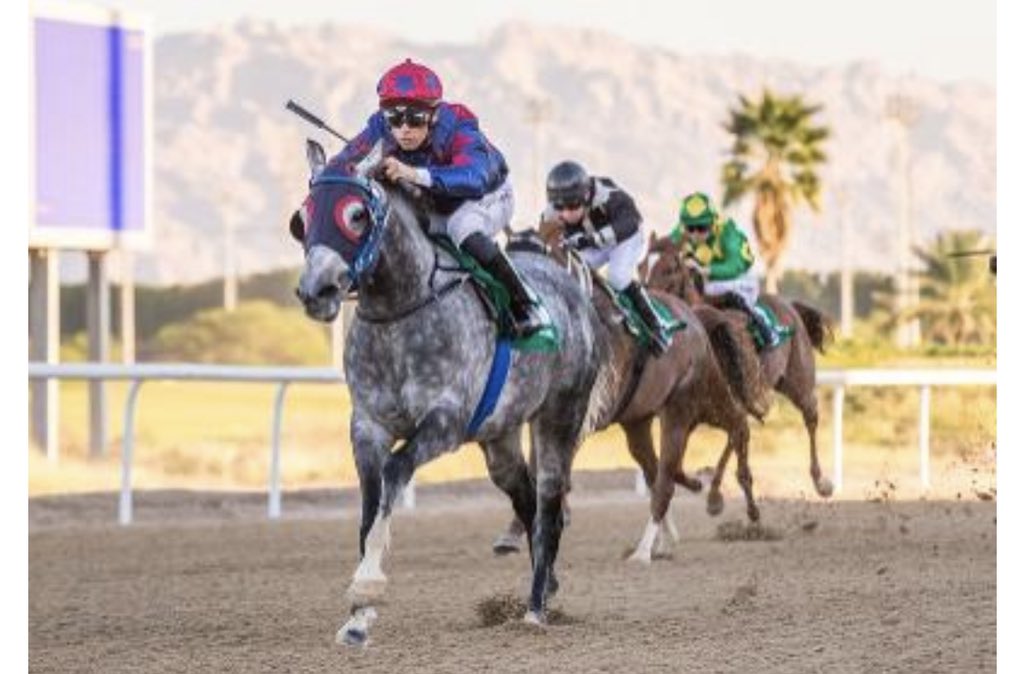 نصر بن عبدالله الراسبي tweet media