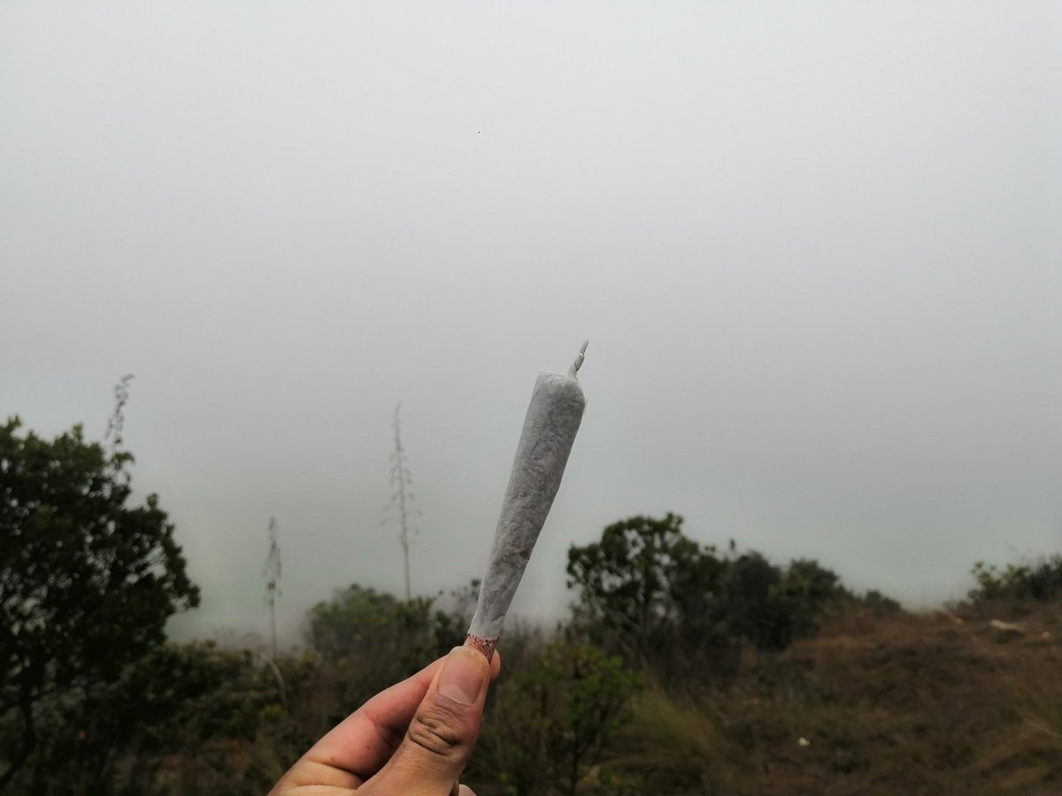 Brayan_Orion's tweet photo. Weed life.
#420 https://t.co/OhKNwljkxt