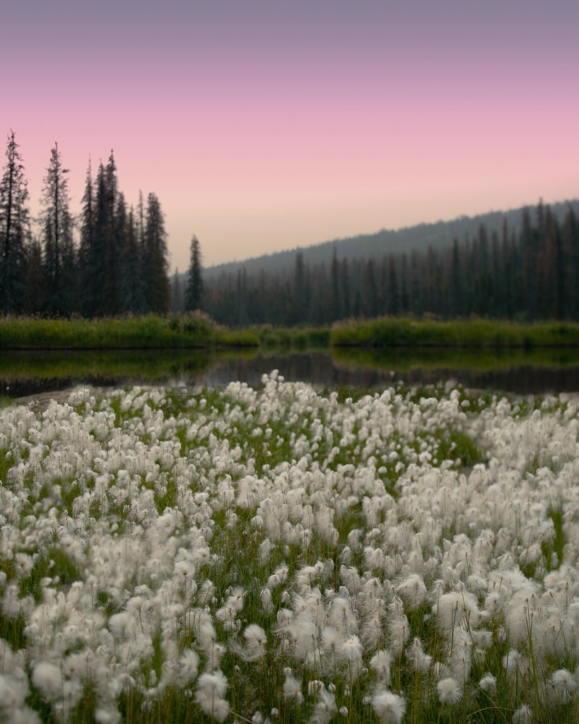 CAMPROBBER_'s tweet photo. Willow Alaska https://t.co/er7fVCWOuG