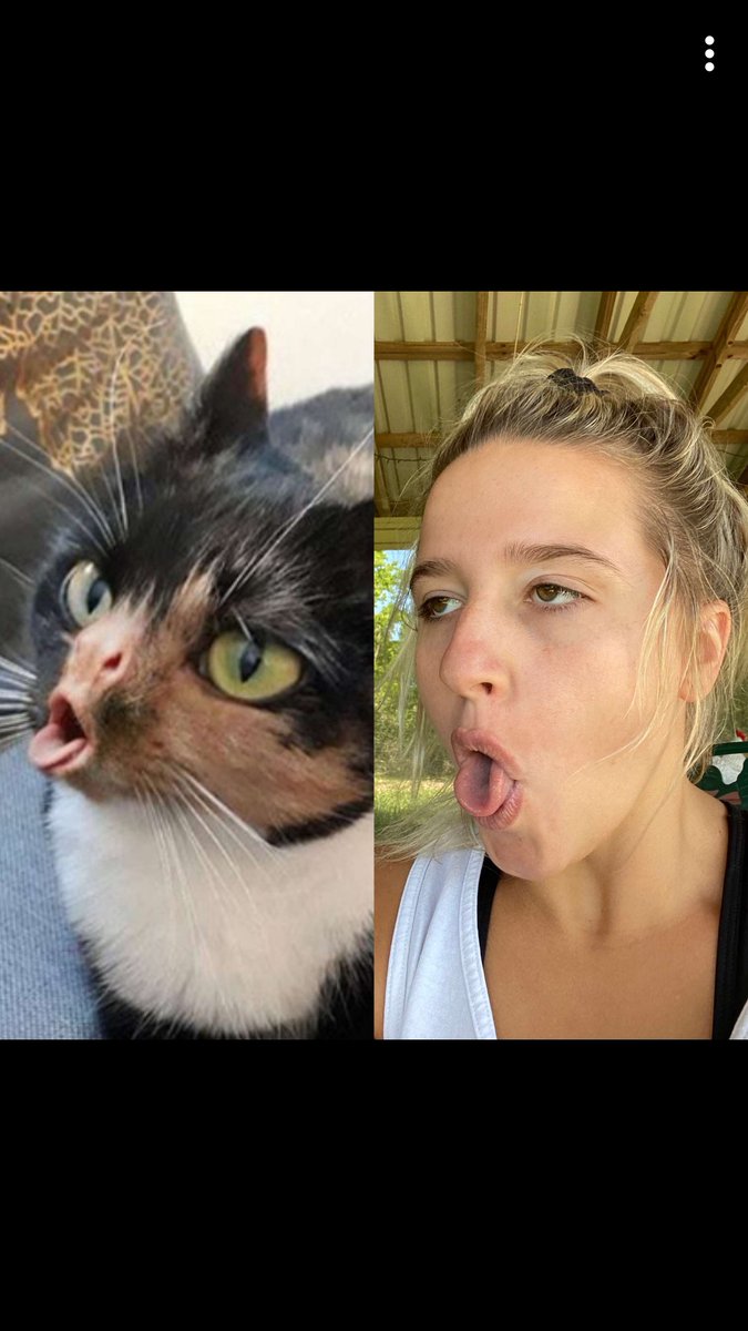 CarolineW_16's tweet photo. My two favorite creatures https://t.co/MQsvu3GX3K