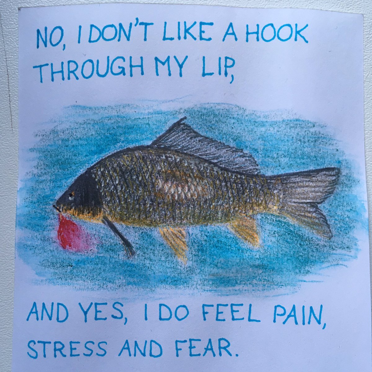 Lana_M_Vegana's tweet image. #govegan #artivism #stopusinganimals #fishfeel #fishfeelpain #fishing #fishhook #stopfishing #vissen #viswijzervisniet #vissenvoelenpijn