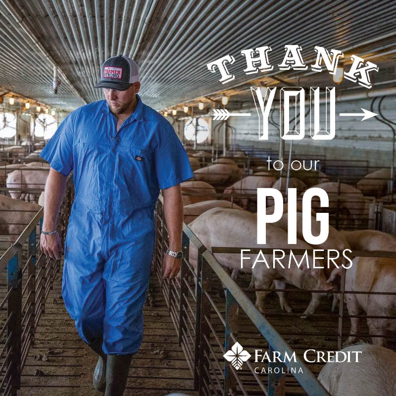 AgSouthFC's tweet photo. It has been a trying time for our pig farmers here in North Carolina. Despite it all, they continue to provide us with a strong supply of US Pork. #FarmerStrong #FarmingIsEssential https://t.co/8OVe45dLdP